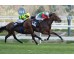  Carrera: P.Jesún Mémdez Monta: J.Gelabert Caballo: El Salor
